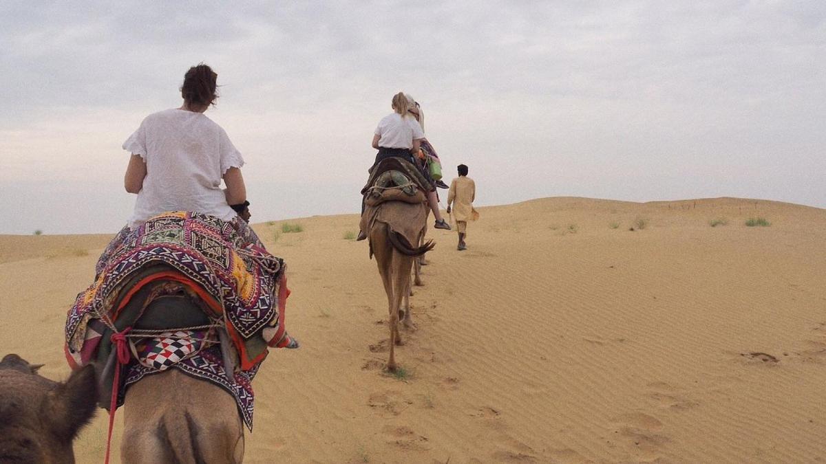 Hotel Sallu Safari جيلسامر المظهر الخارجي الصورة
